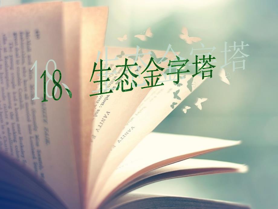 教育专题：18、生态金字塔(baekhyun)_第1页