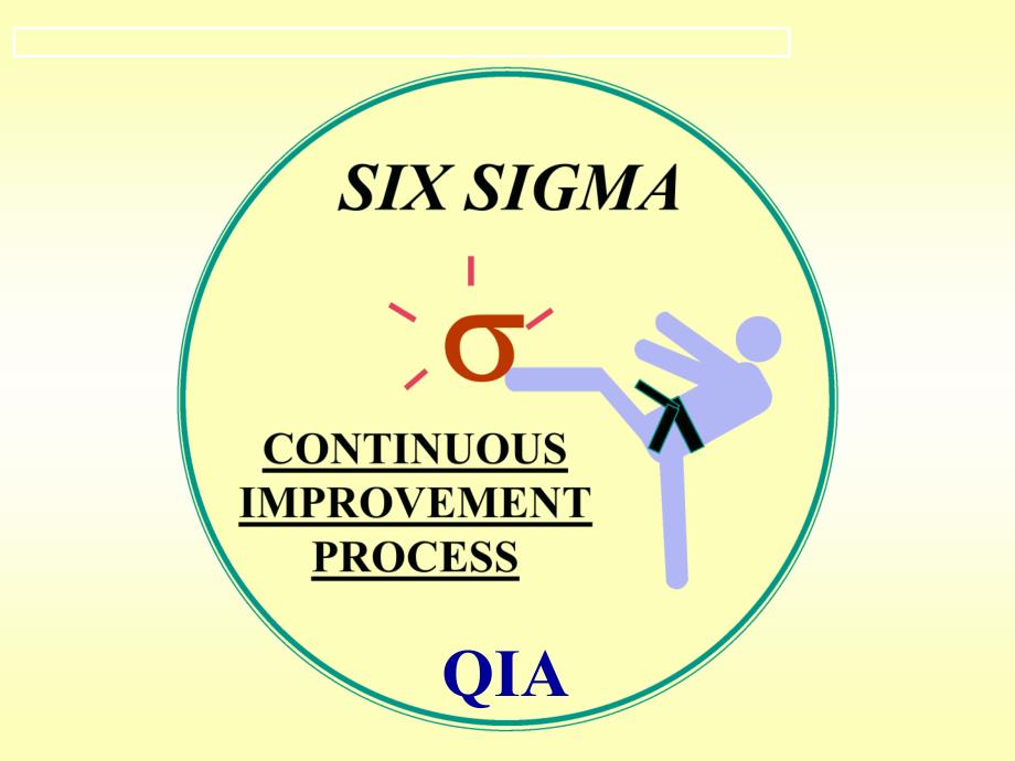 Six Sigma brief_第1页