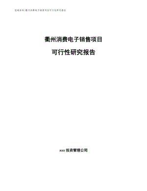衢州消费电子销售项目可行性研究报告