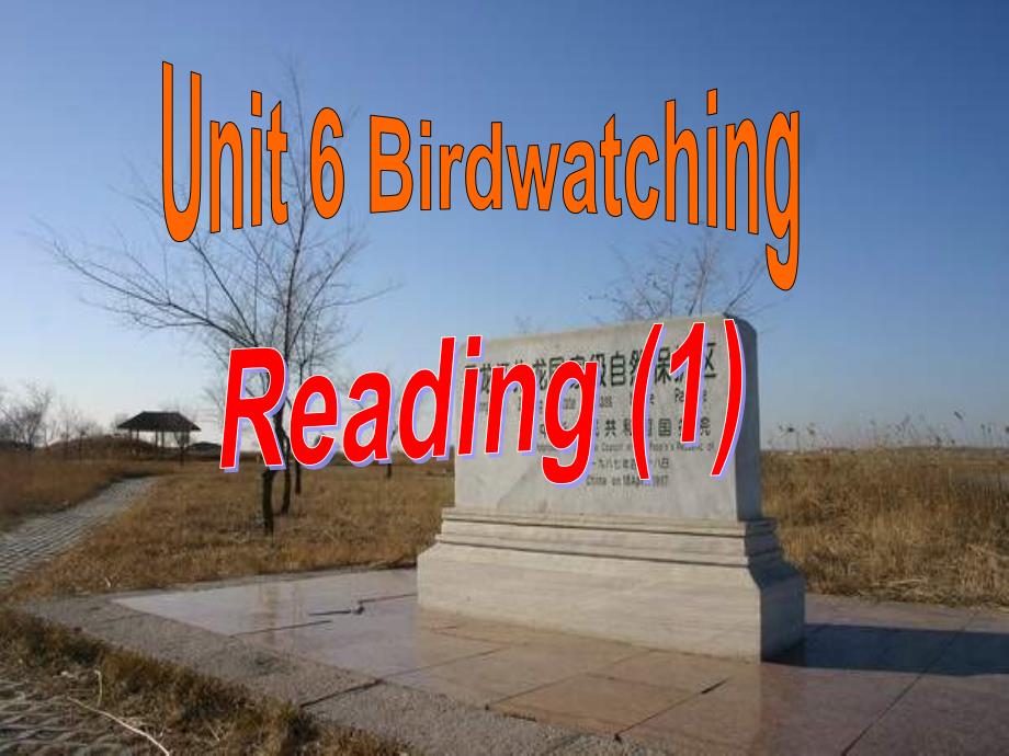 教育专题：8AUnit6Reading1_第1页