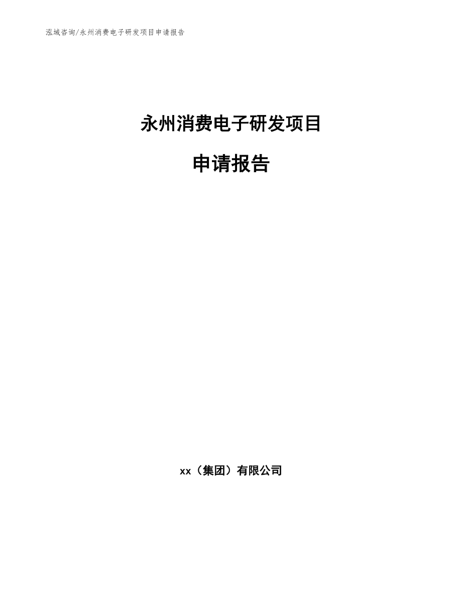 永州消费电子研发项目申请报告_第1页