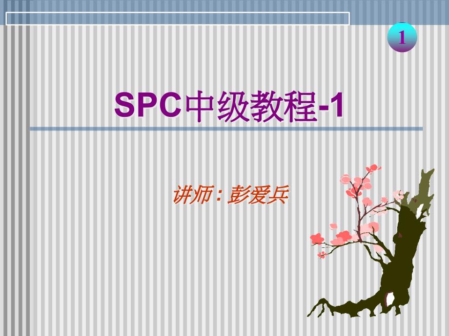 SPC中級教程2_第1页