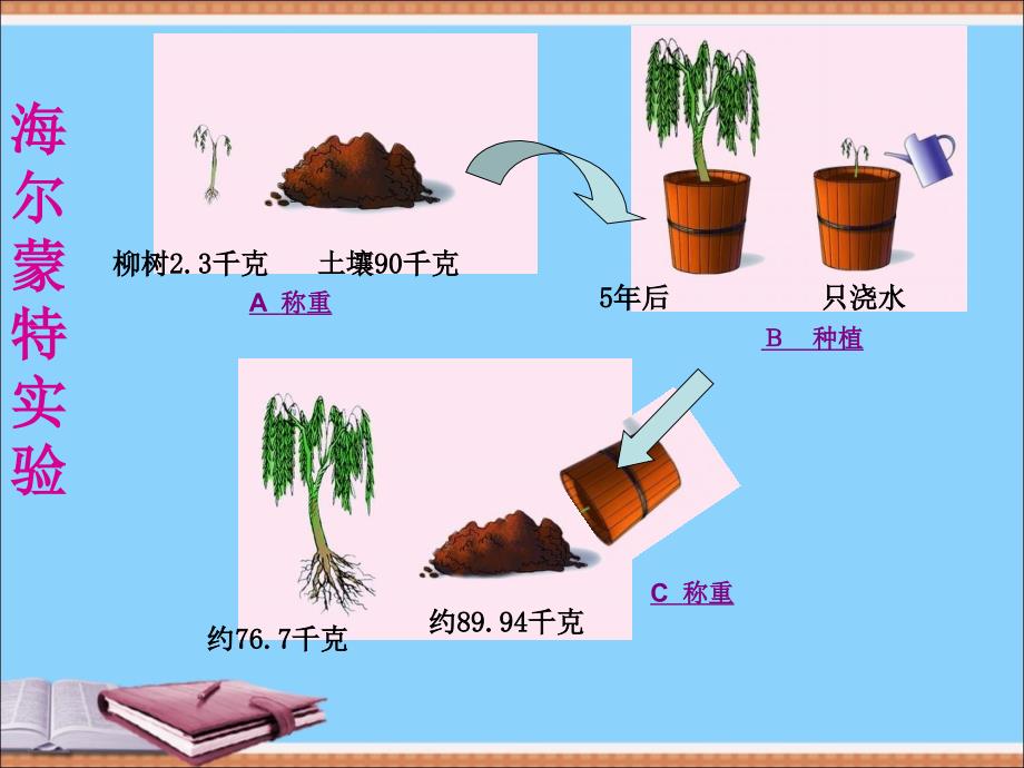 教育专题：绿色植物的生长需要水和无机盐_第1页