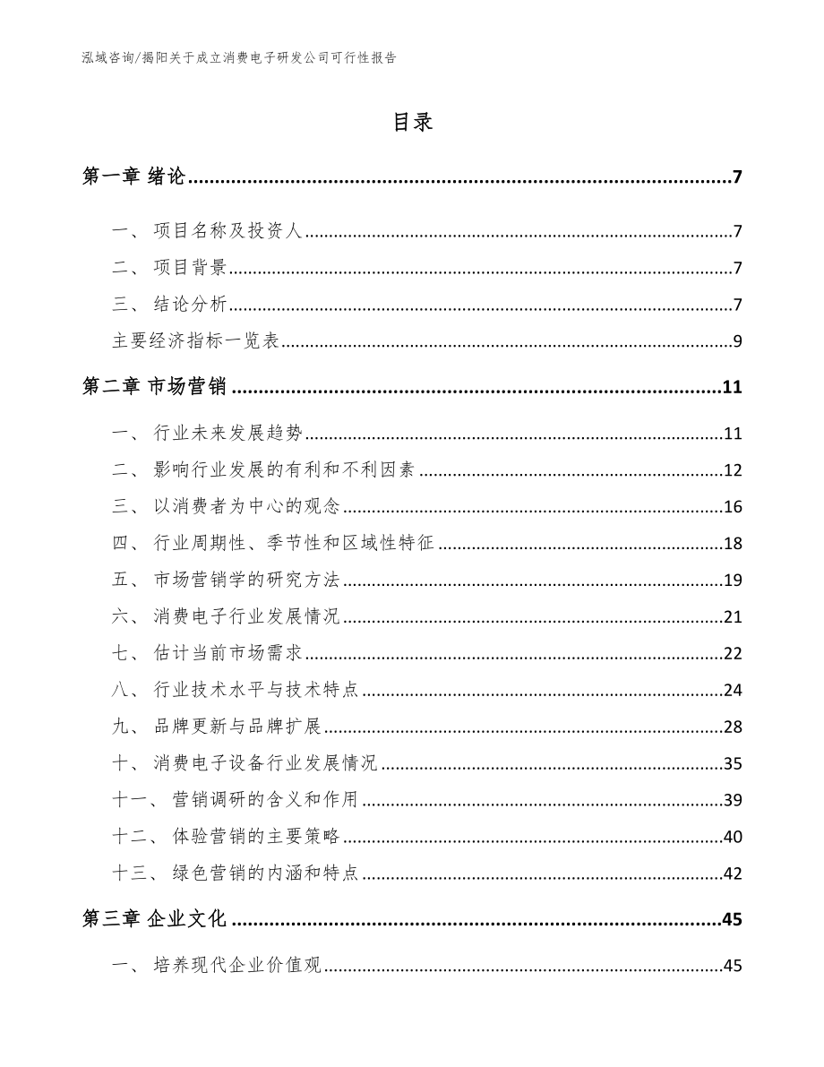 揭阳关于成立消费电子研发公司可行性报告（范文模板）_第1页