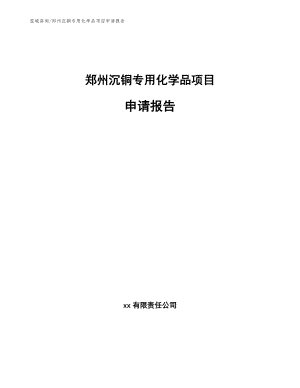 郑州沉铜专用化学品项目申请报告
