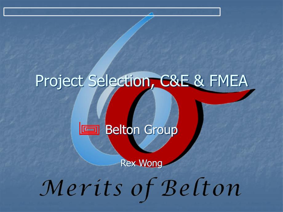 ProjectSelectionC&ampamp;E&ampamp;FMEA2_第1页