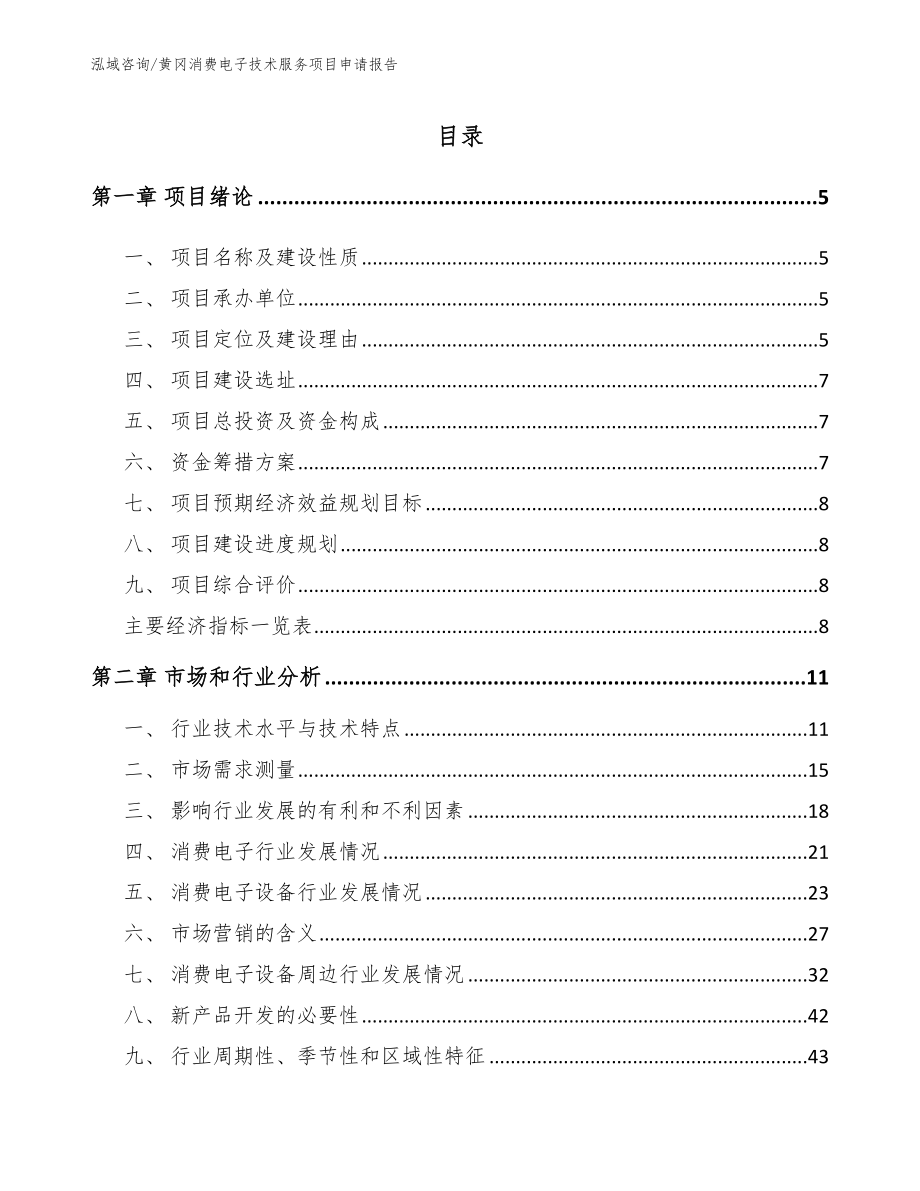 黄冈消费电子技术服务项目申请报告_第1页