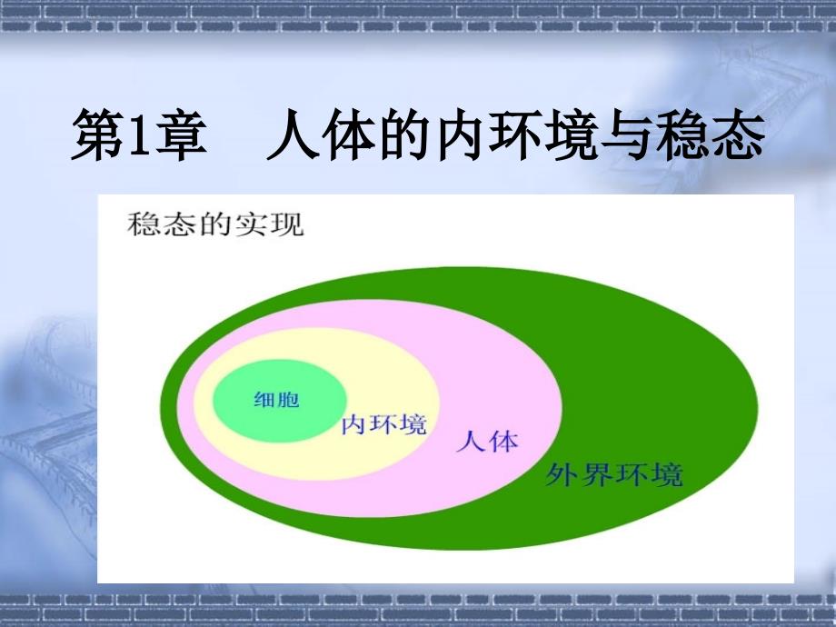 第1章人体的内环境与稳态_第1页