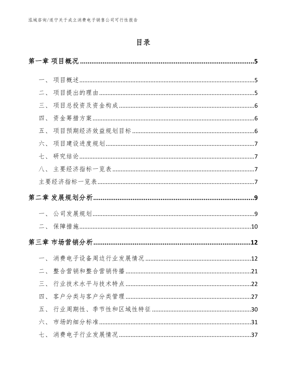 遂宁关于成立消费电子销售公司可行性报告（参考范文）_第1页