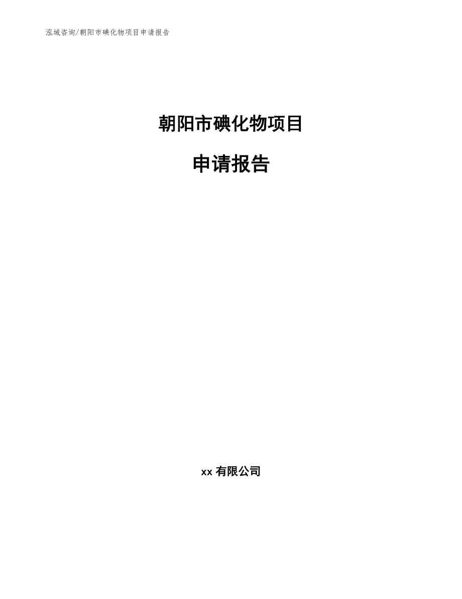朝阳市碘化物项目申请报告_第1页