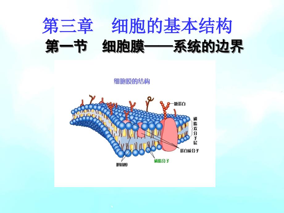 教育专题：高一生物《细胞膜——系统的边界》PPT课件2 (2)_第1页