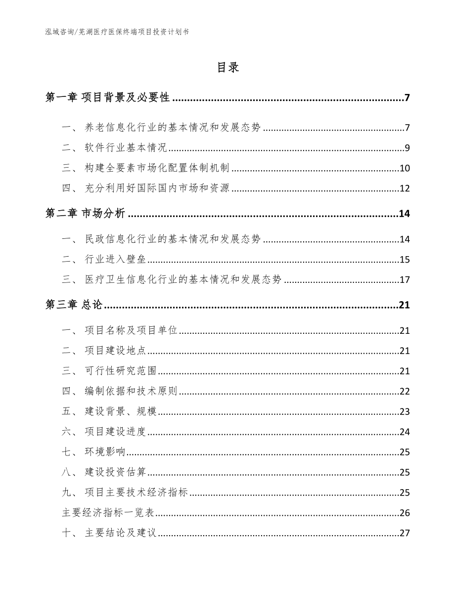 芜湖医疗医保终端项目投资计划书_第1页