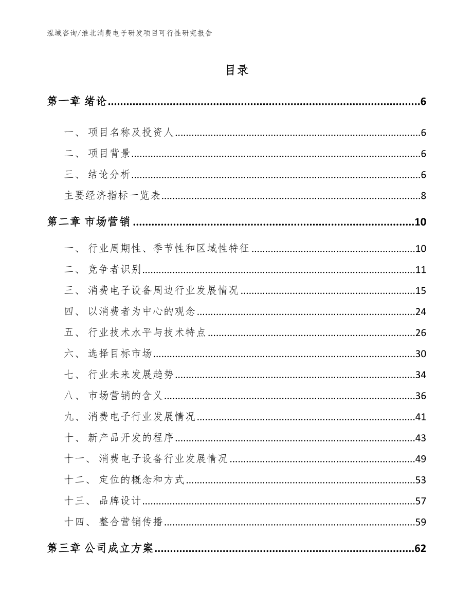 淮北消费电子研发项目可行性研究报告_模板参考_第1页
