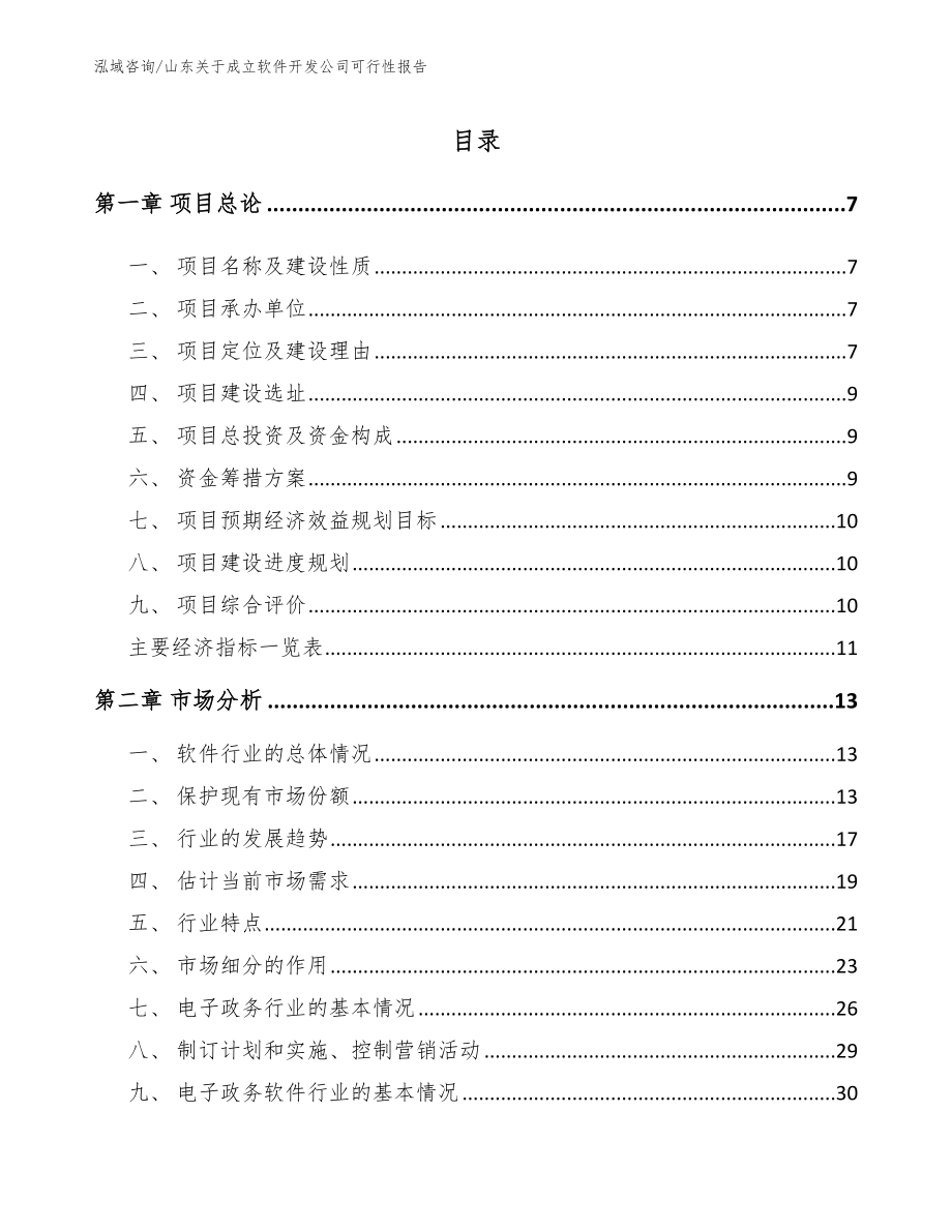 山东关于成立软件开发公司可行性报告_第1页