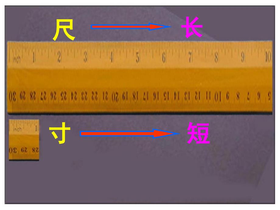 教育专题：《尺有所短-寸有所长》公开课_第1页