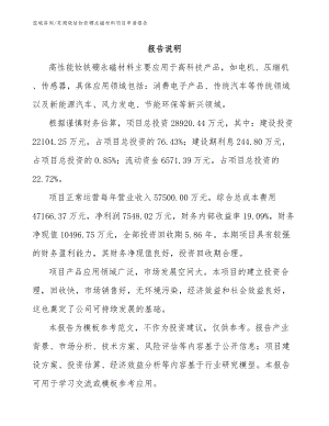 芜湖烧结钕铁硼永磁材料项目申请报告