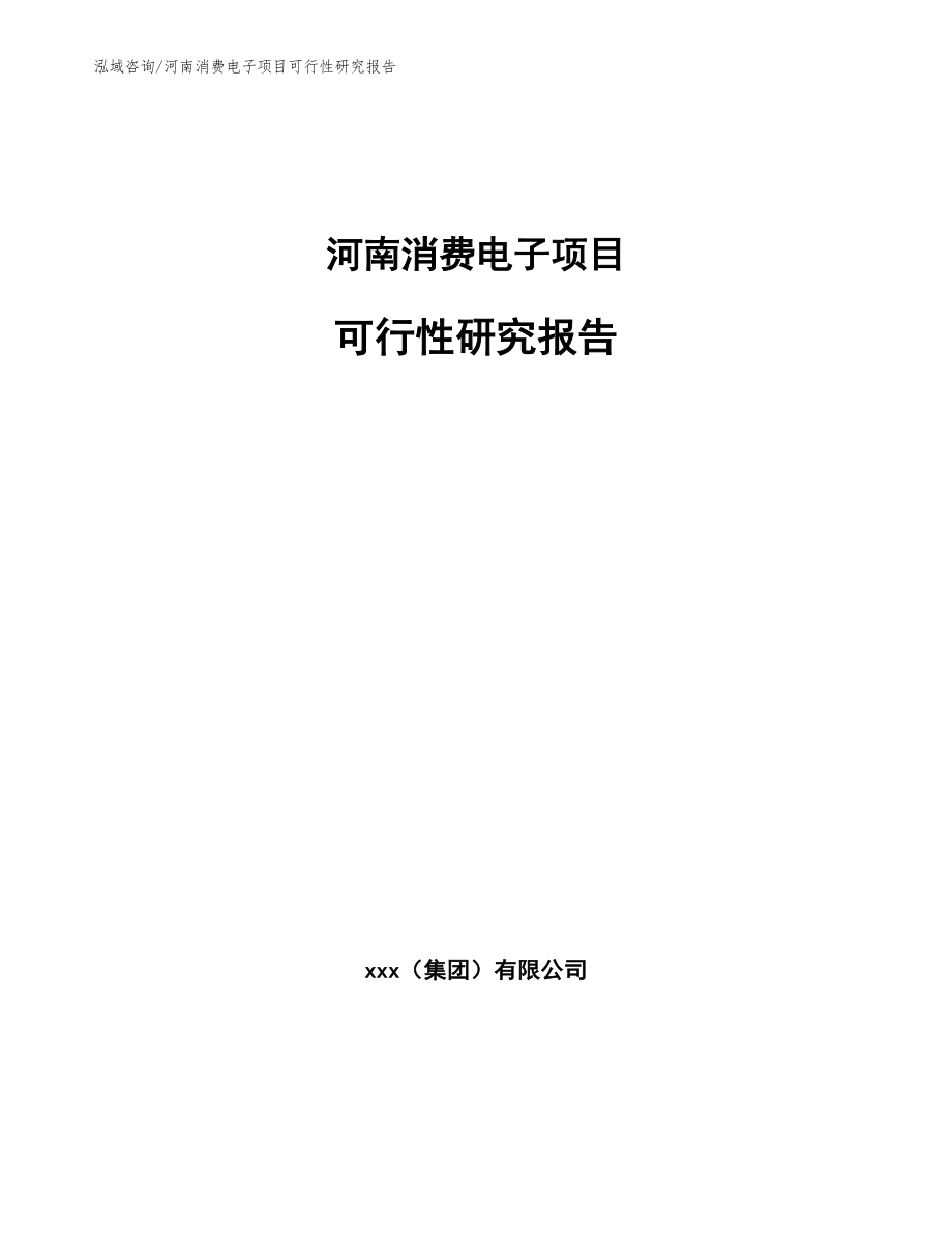 河南消费电子项目可行性研究报告_第1页