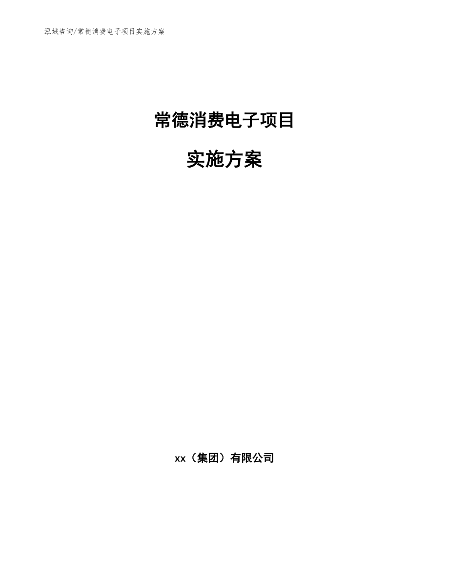 常德消费电子项目实施方案（参考模板）_第1页