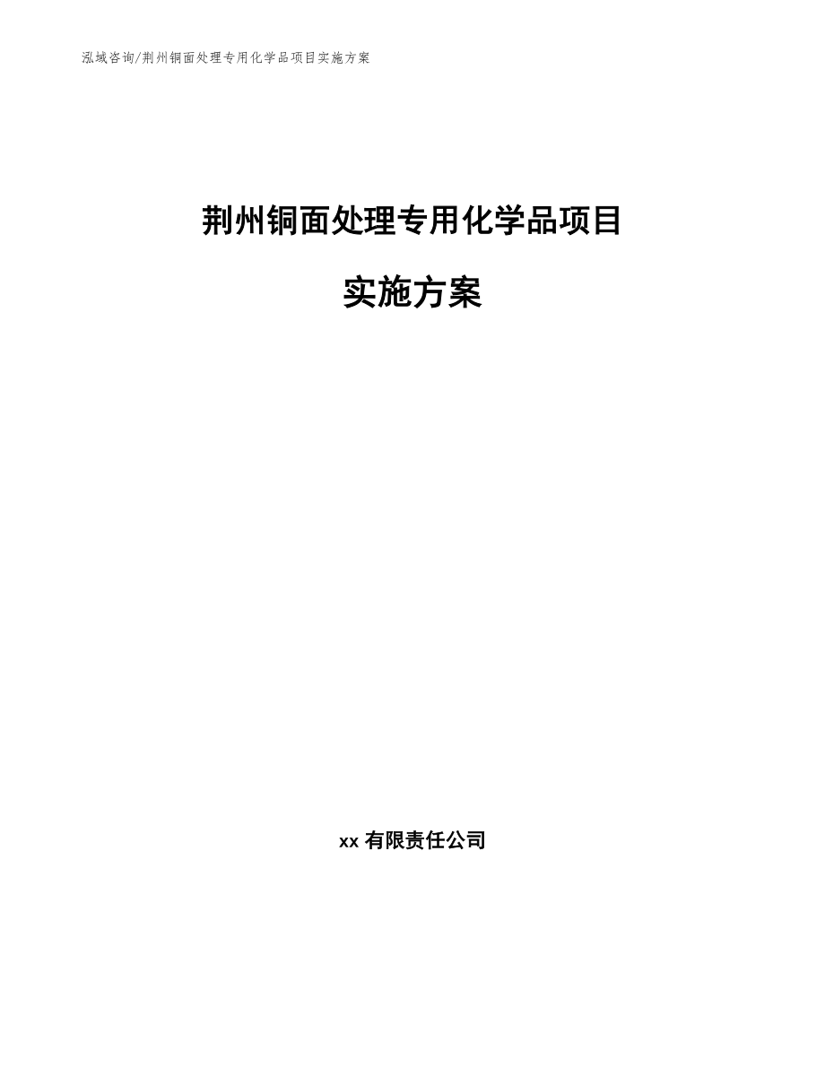 荆州铜面处理专用化学品项目实施方案_模板_第1页