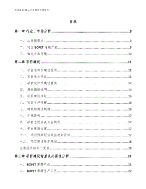 铁岭反射膜项目建议书【参考范文】