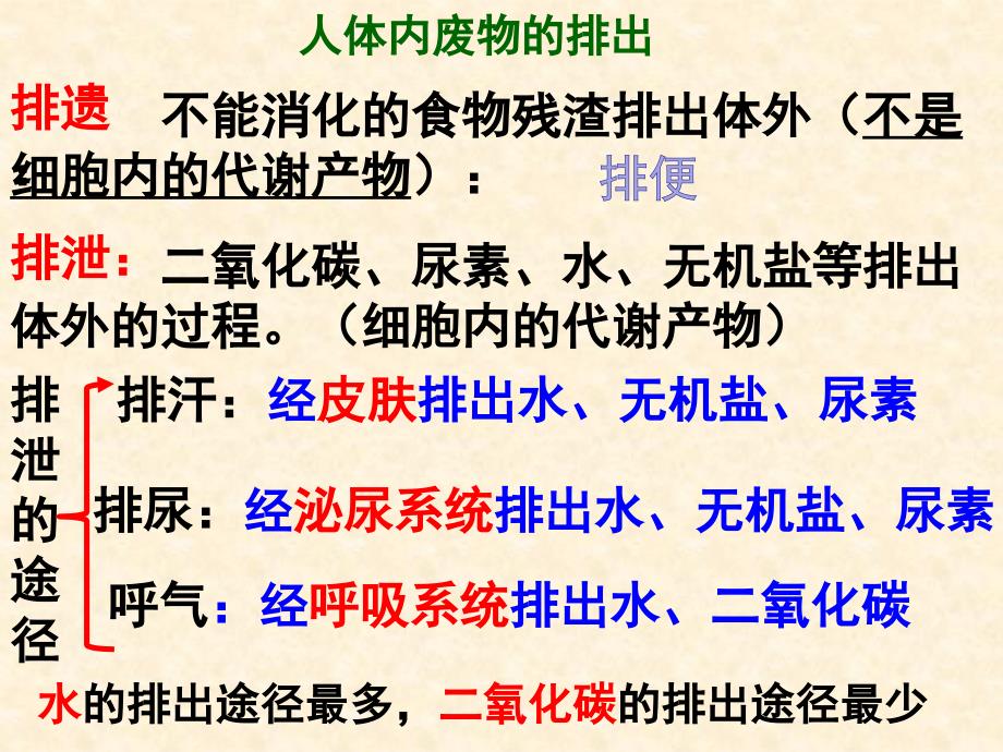 教育专题：人体泌尿系统的组成及功能课件1_第1页