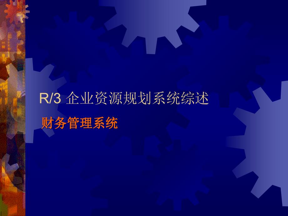 企业财务管理资源规划系统综述73360_第1页