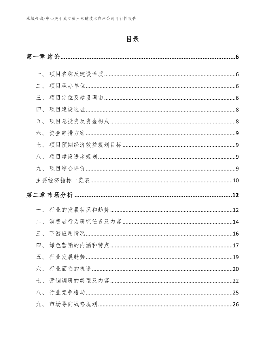 中山关于成立稀土永磁技术应用公司可行性报告（模板）_第1页