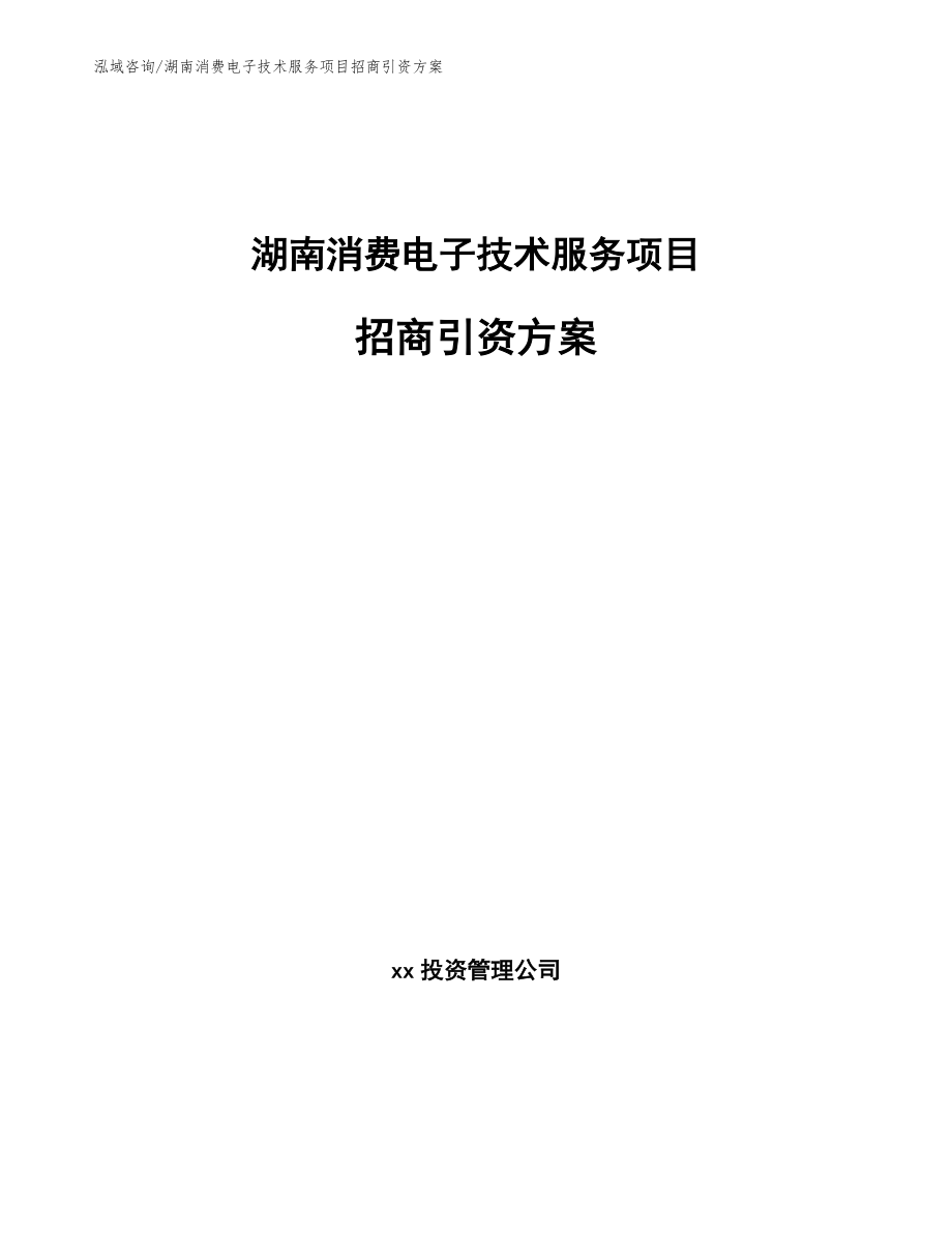 湖南消费电子技术服务项目招商引资方案（参考范文）_第1页