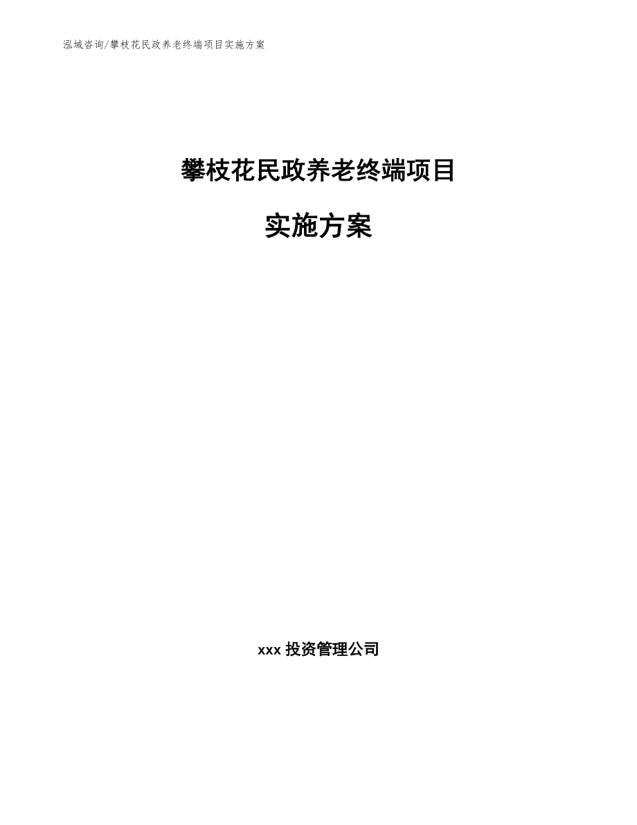 攀枝花民政养老终端项目实施方案模板参考_第1页