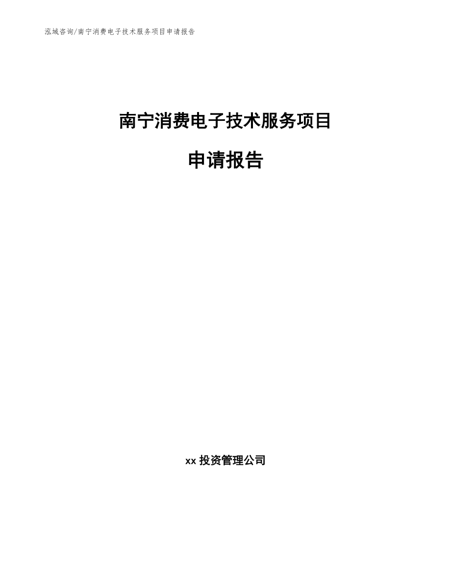 南宁消费电子技术服务项目申请报告_第1页