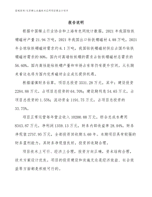 北京稀土永磁技术应用项目商业计划书_模板范本