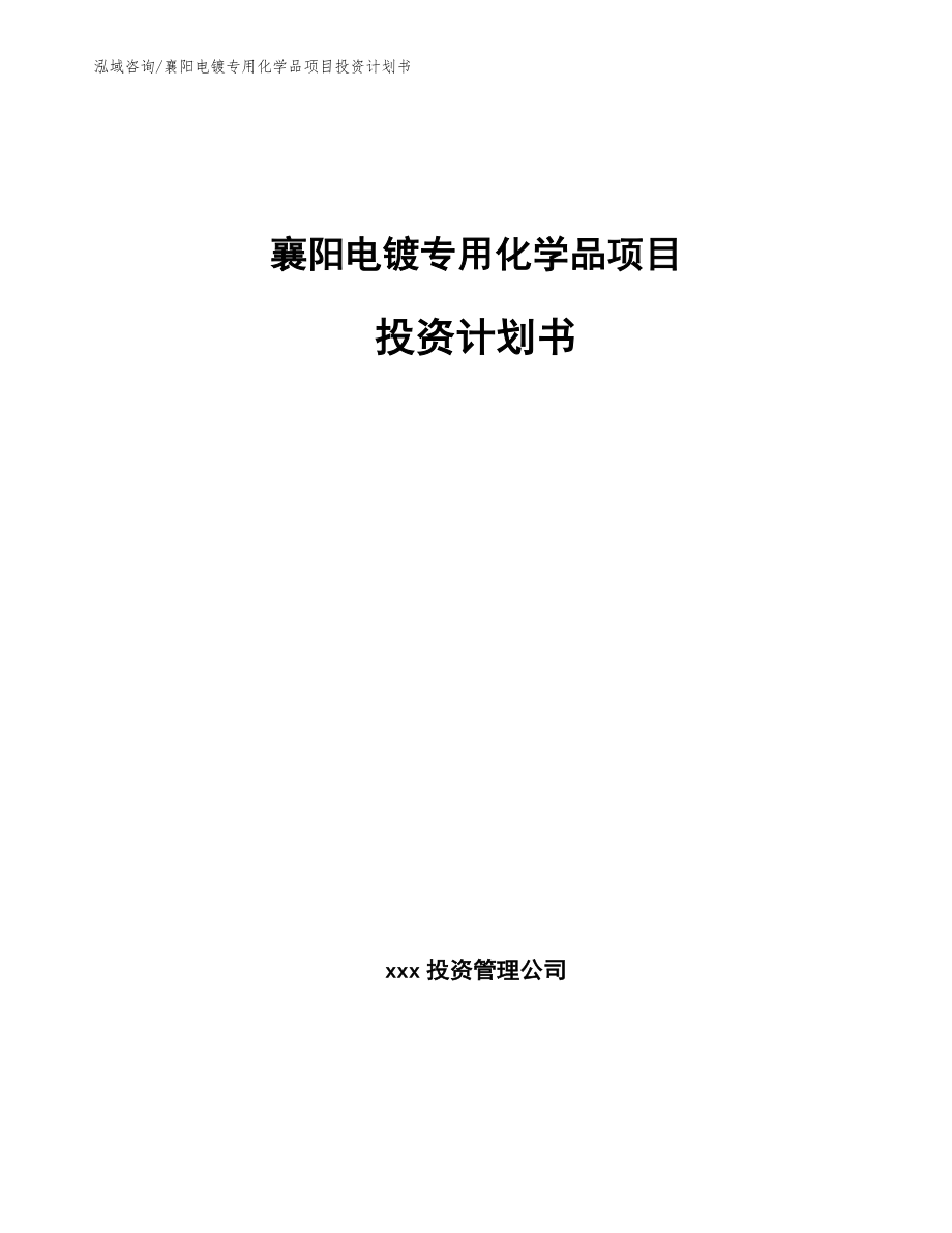 襄阳电镀专用化学品项目投资计划书（模板参考）_第1页