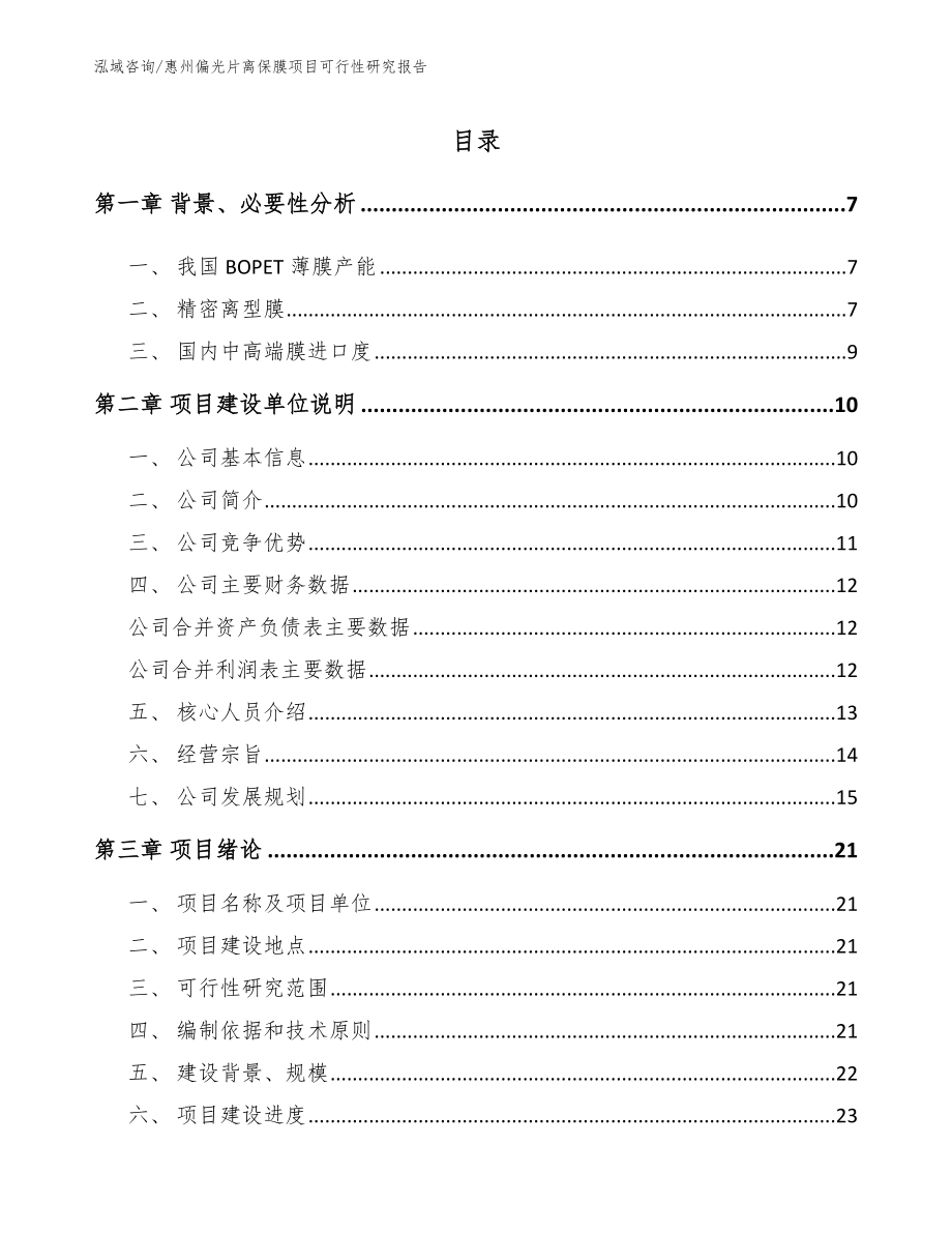 惠州偏光片离保膜项目可行性研究报告_第1页