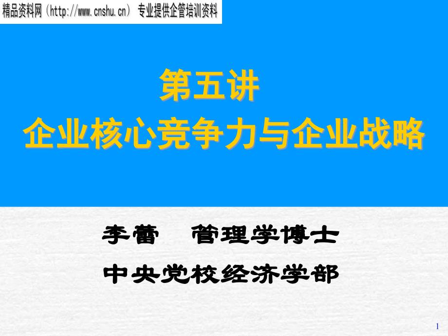 企业核心竞争力及企业战略讲义75013_第1页