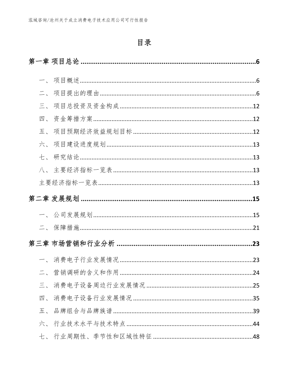 沧州关于成立消费电子技术应用公司可行性报告【模板范文】_第1页