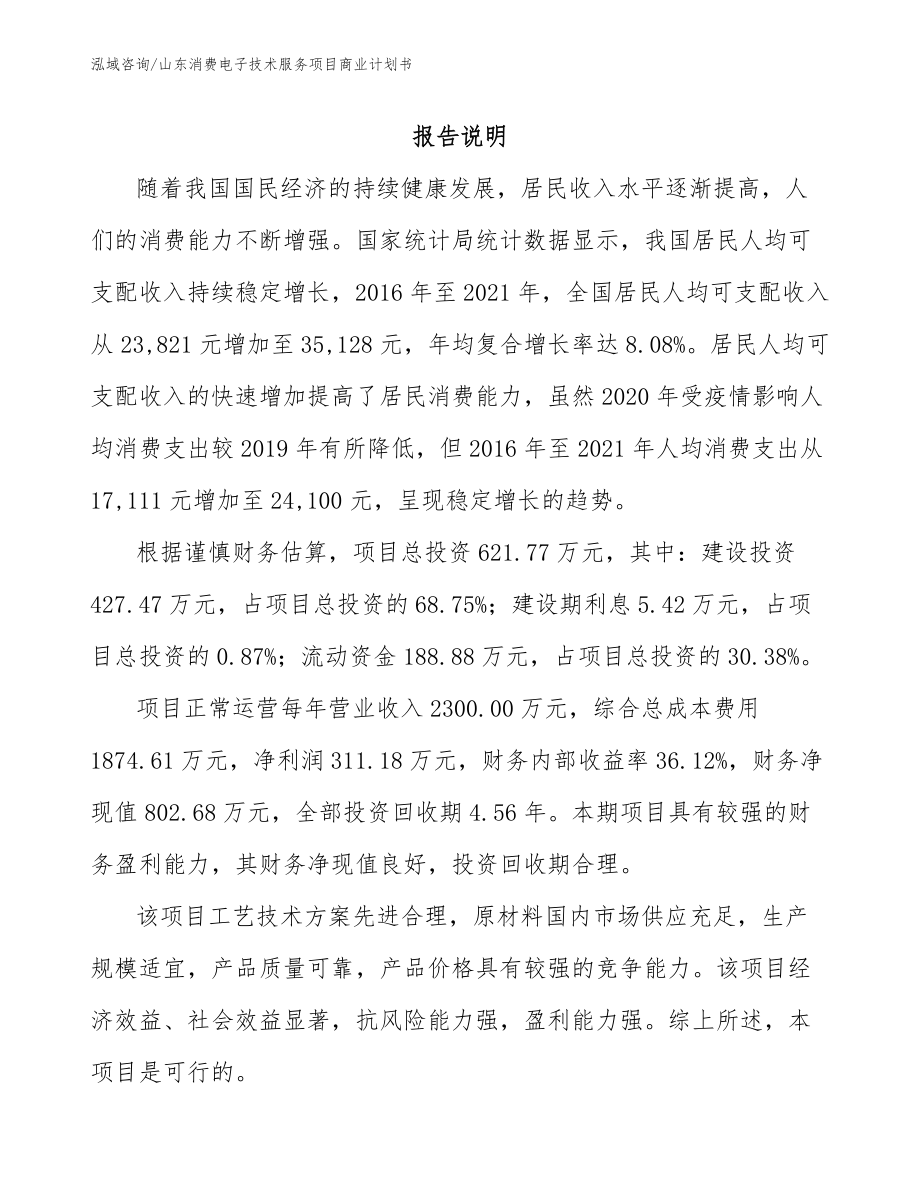 山东消费电子技术服务项目商业计划书模板范文_第1页