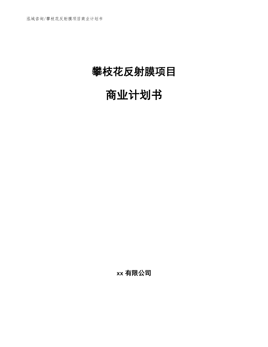 攀枝花反射膜项目商业计划书（参考模板）_第1页