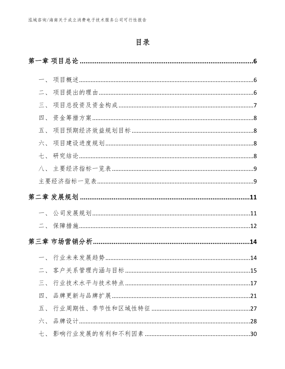 海南关于成立消费电子技术服务公司可行性报告模板范文_第1页