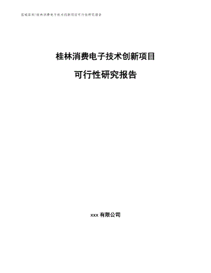 桂林消费电子技术创新项目可行性研究报告（模板）