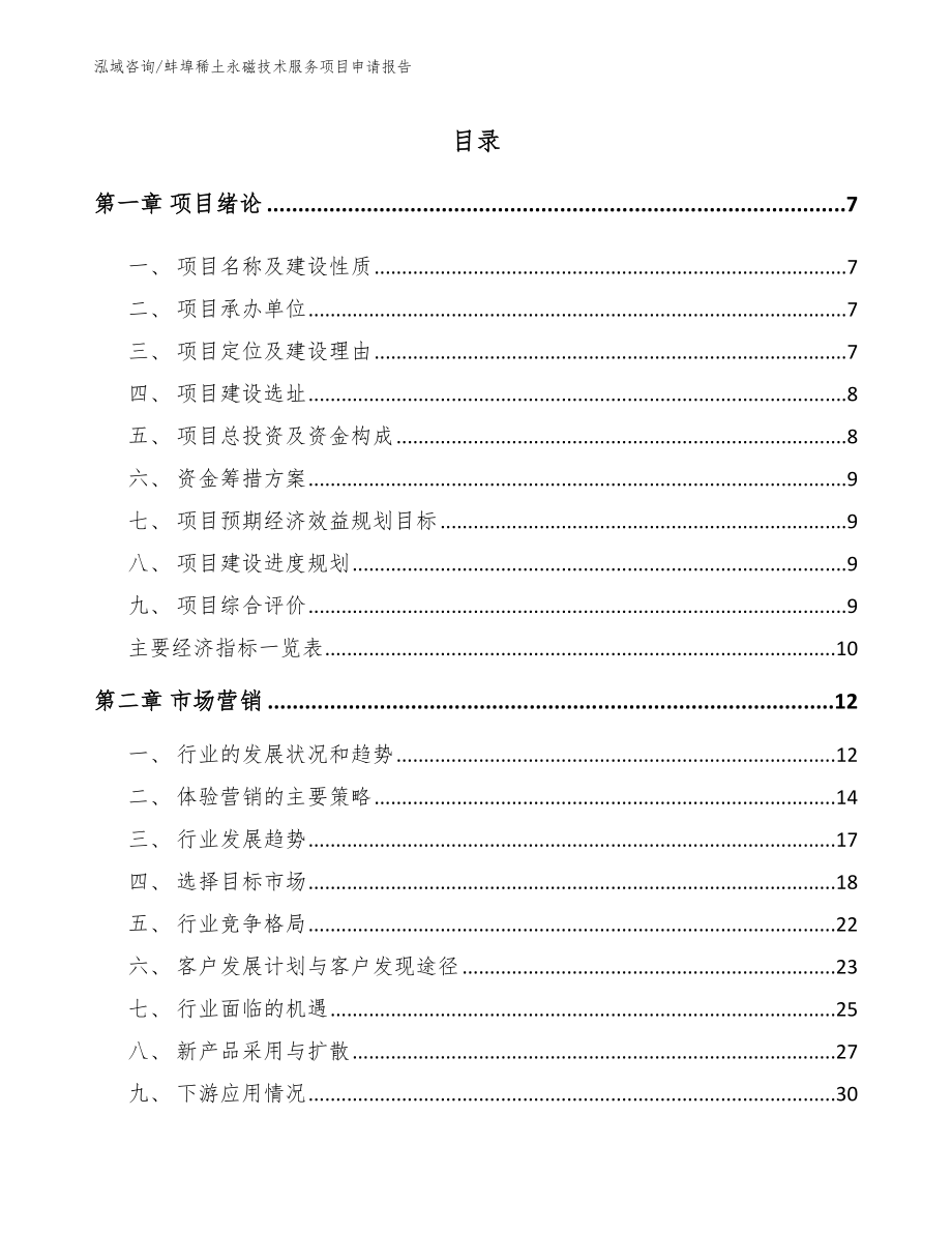 蚌埠稀土永磁技术服务项目申请报告_第1页