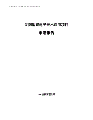 沈阳消费电子技术应用项目申请报告【范文】