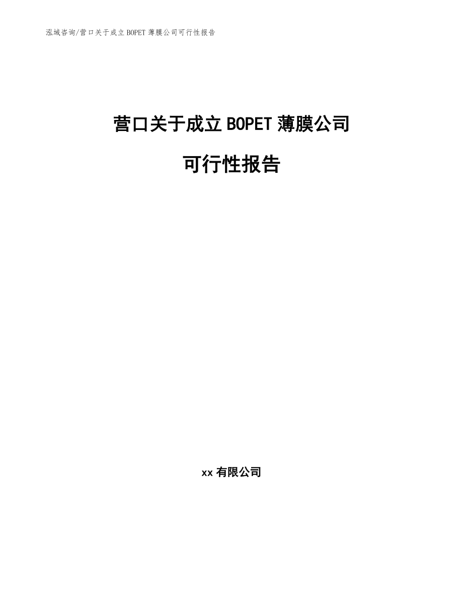 营口关于成立BOPET薄膜公司可行性报告范文模板_第1页