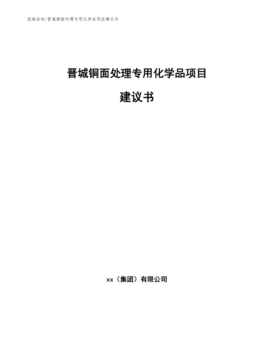 晋城铜面处理专用化学品项目建议书_范文_第1页