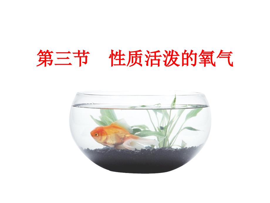 第三节 性质活泼氧气_第1页