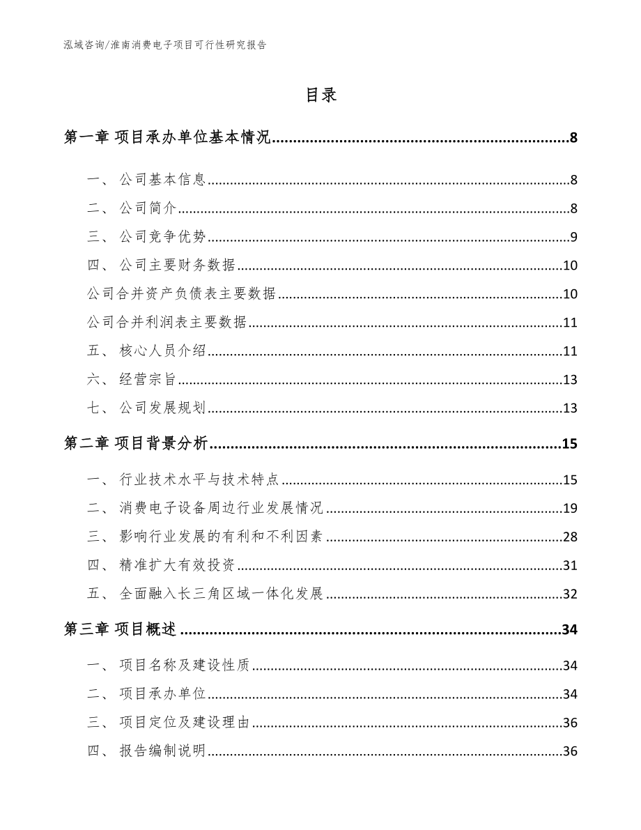 淮南消费电子项目可行性研究报告_第1页