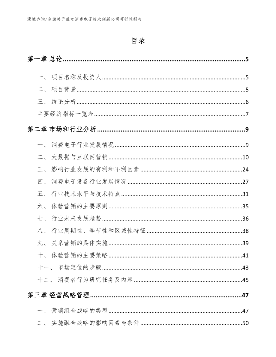 宣城关于成立消费电子技术创新公司可行性报告参考范文_第1页