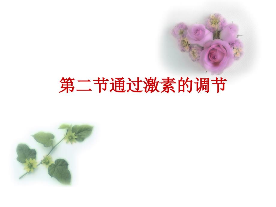 通过激素调节(第一轮复习)(精品)_第1页