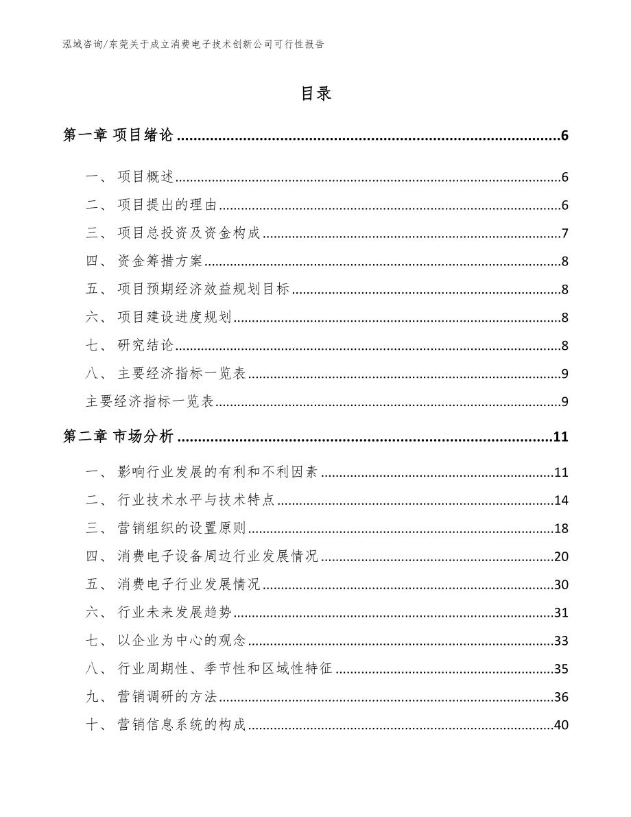 东莞关于成立消费电子技术创新公司可行性报告_模板范本_第1页