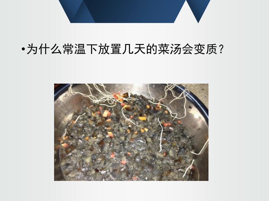 教育专题：八年级细菌_第1页