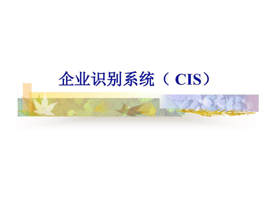 企业识别系统( CIS)76901_第1页